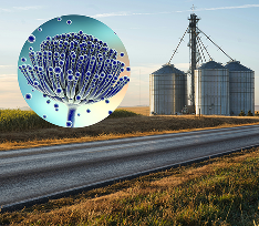 Adsorbentes de micotoxinas