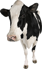 Hero Productos Sanfer - Productos para ganadería