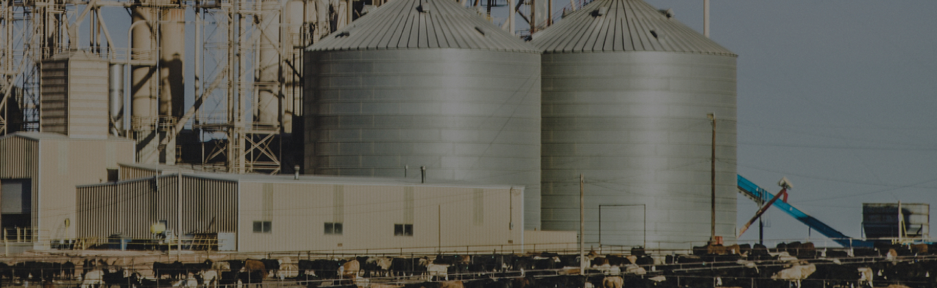 Sanfer | Salud Animal | Imagen principal