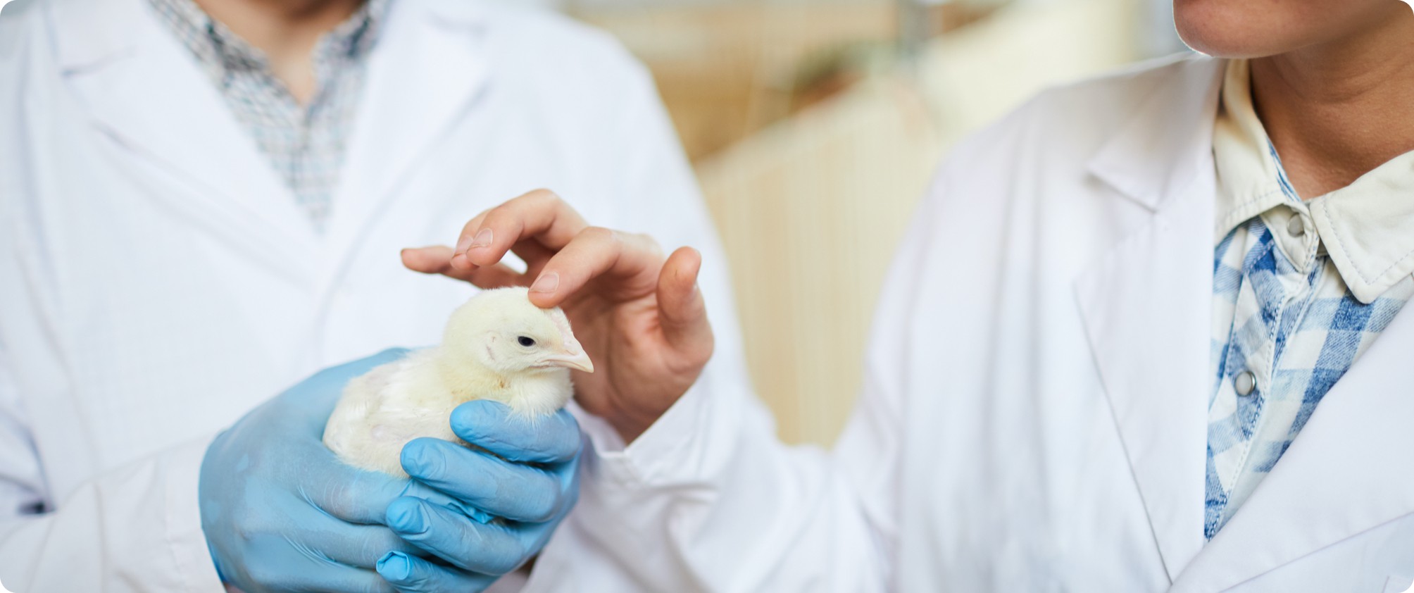 Sanfer adquiere Grupo IDISA