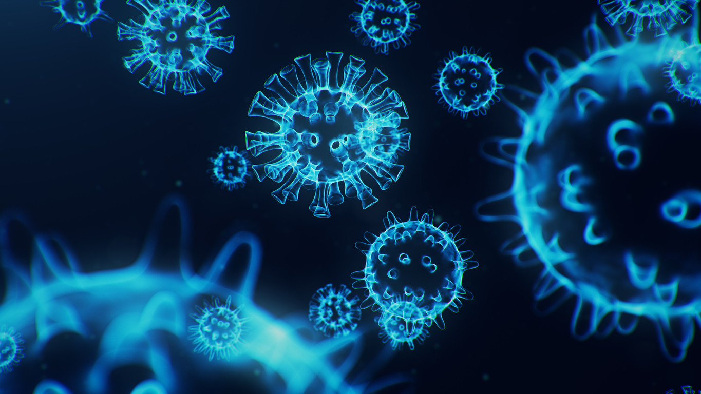 Webinar: Influenza, una mirada al interior del virus