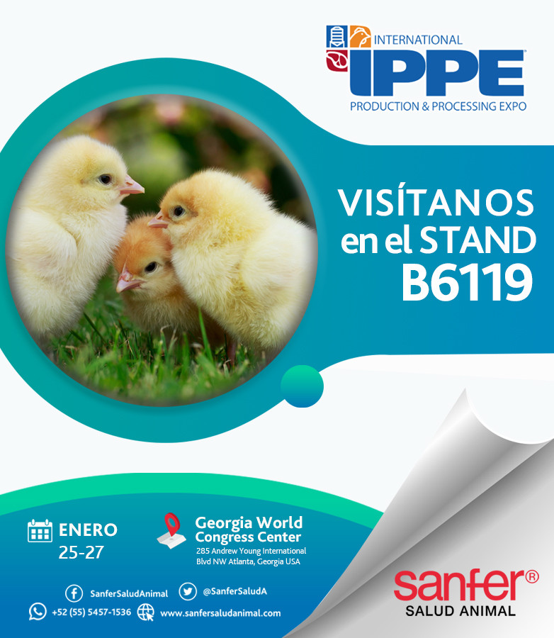 IPPE 2022