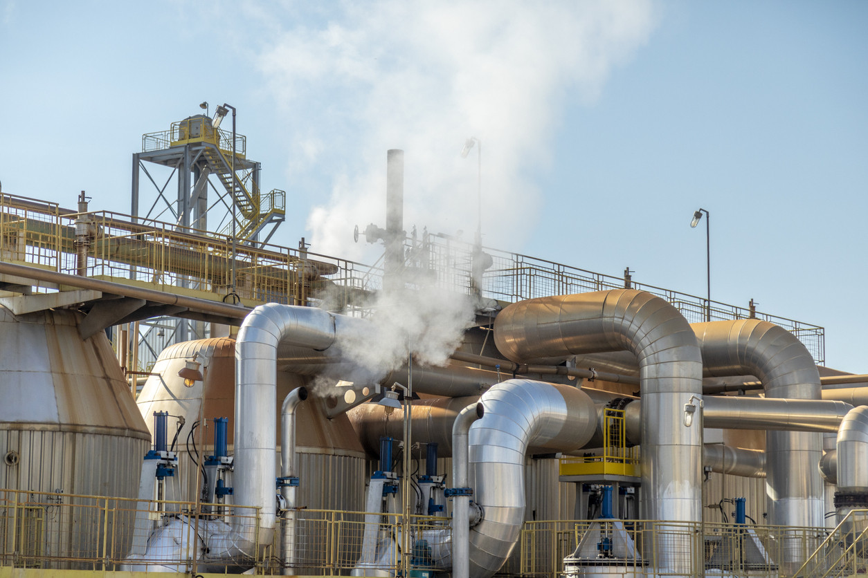 Programa de Gestión de Calidad e Inocuidad en una Planta de Alimentos Balanceados