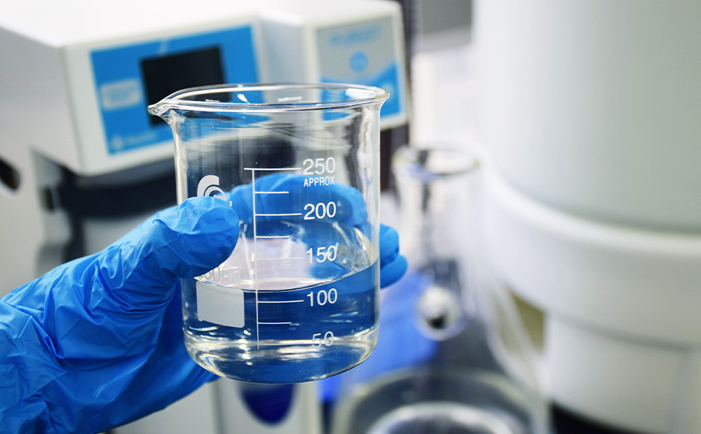 Halquinol en alimentos balanceados