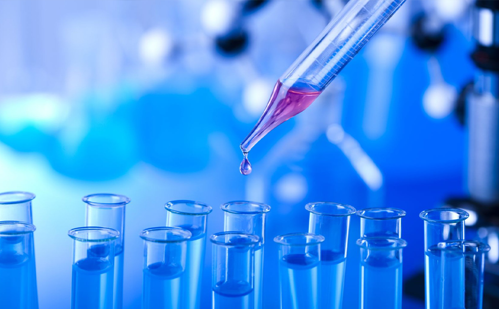 Análisis bromatológico (proximal)