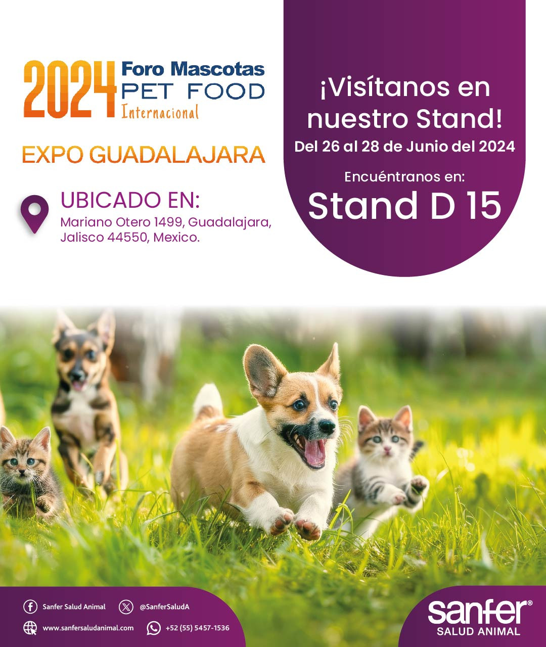 PET FOOD INTERNATIONAL 2024