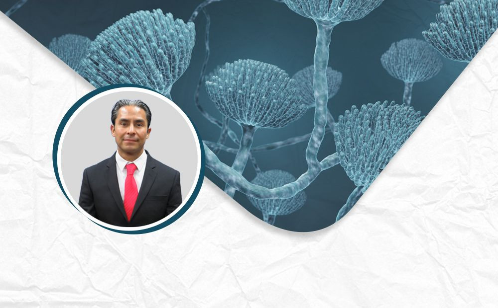 Implicaciones de la legislación para micotoxinas en materias primas y alimentos para humanos y animales en México