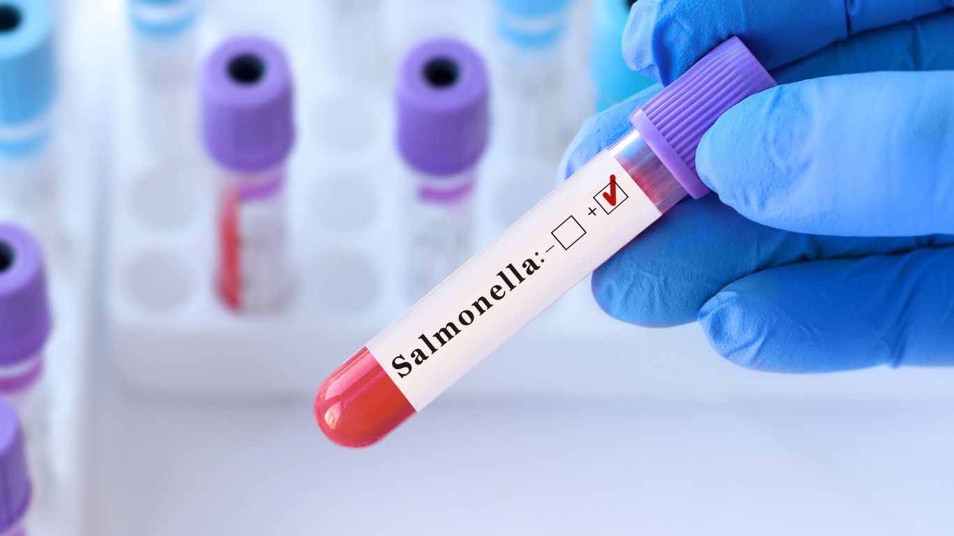 Aislamiento de Salmonella en alimentos:  Manejo preventivo en productos de consumo humano