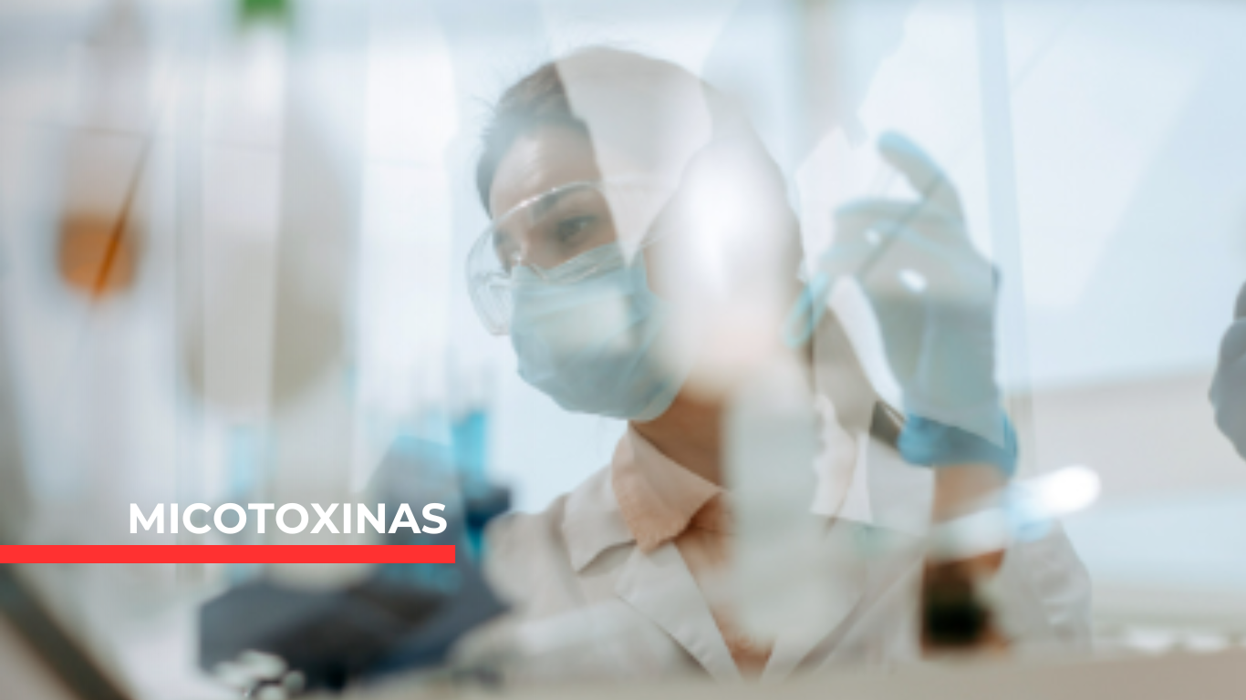 Sanfer Salud Animal y su compromiso por mitigar el efecto negativo de las micotoxinas