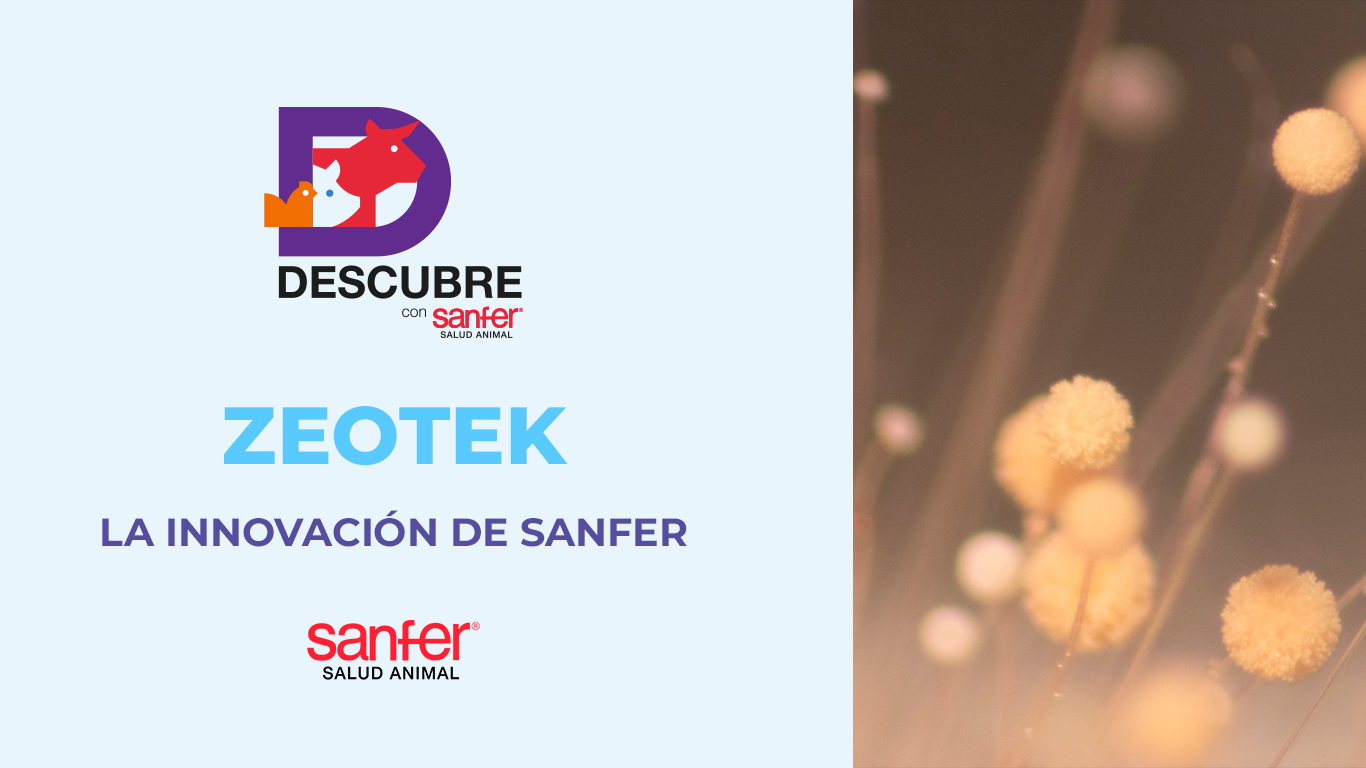 Zeotek: La innovación de Sanfer que mejora la productividad en diferentes especies animales