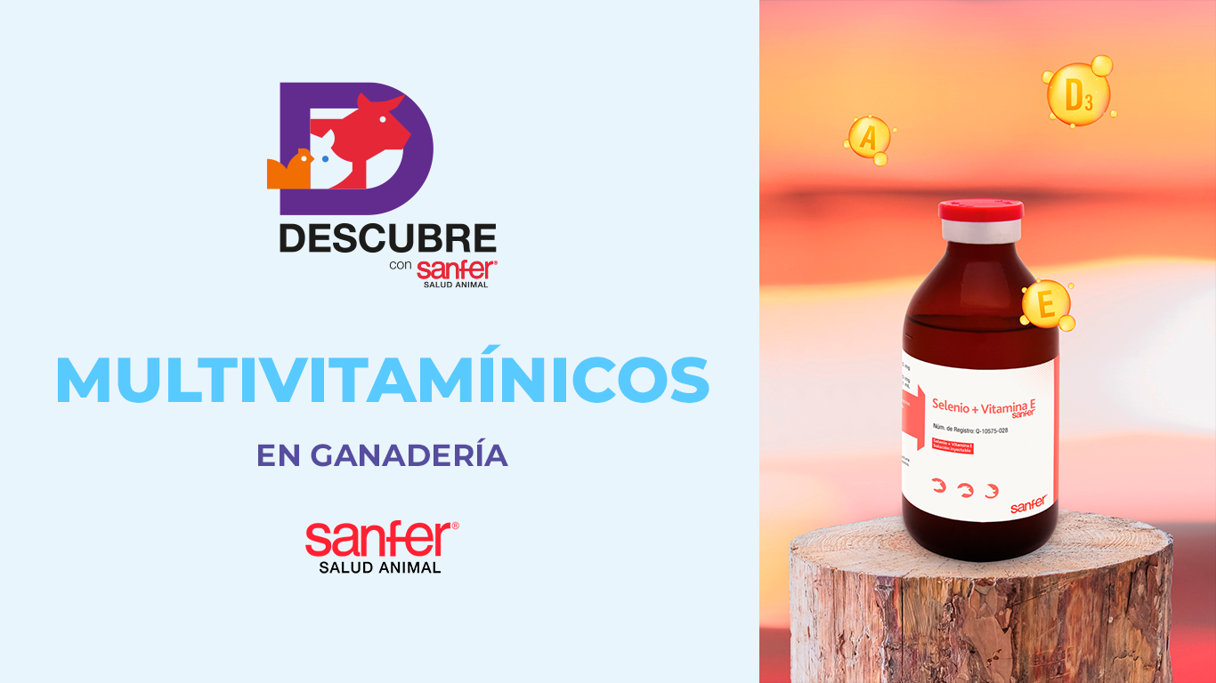 Multivitamínicos en Ganadería: Claves para el Desarrollo Óptimo del Ganado
