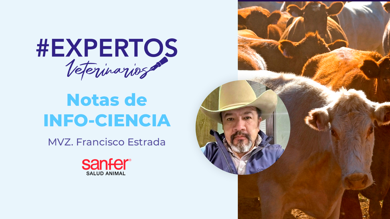 Notas de INFO-CIENCIA