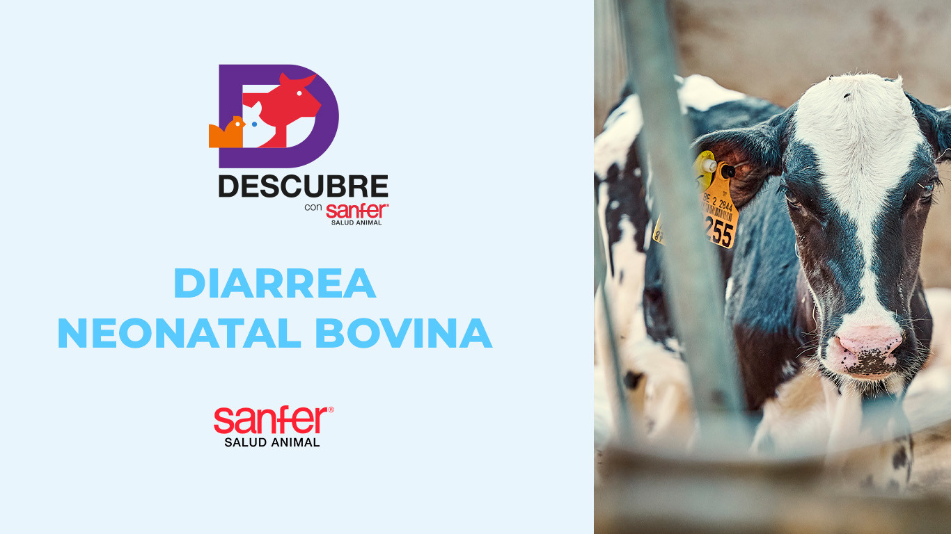 Síndrome Diarreico Neonatal (SDN): Prevención y Manejo Integral