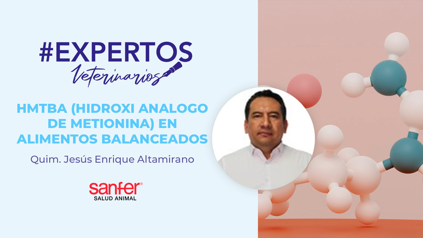 HMTBA (HIDROXI ANALOGO DE METIONINA) EN ALIMENTOS BALANCEADOS