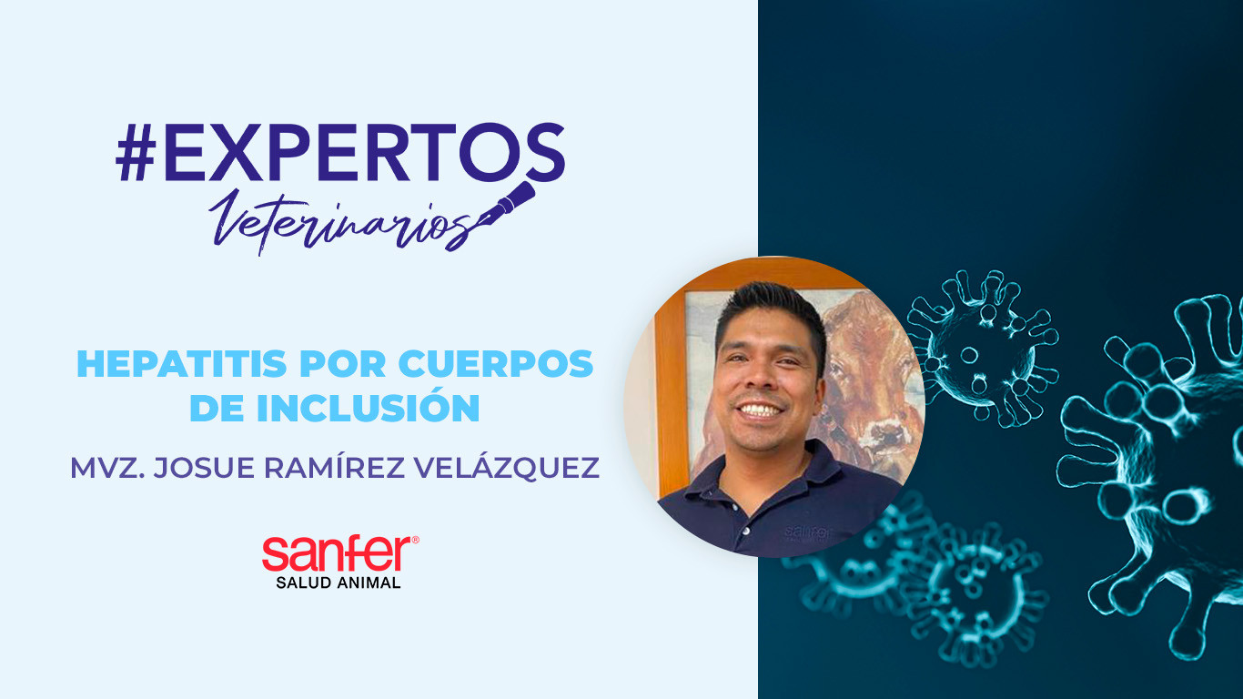 Hepatitis por cuerpos de inclusión