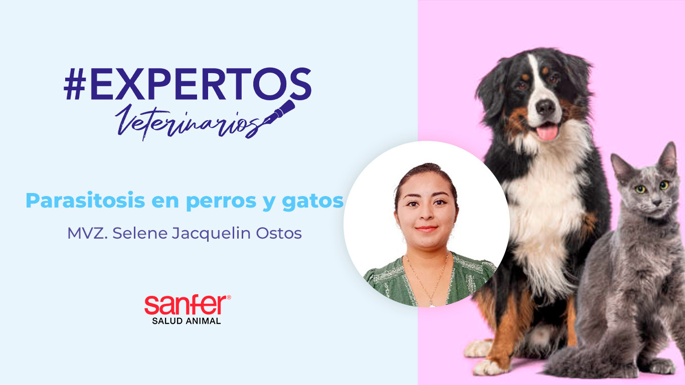 PARASITOSIS EN PERROS Y GATOS