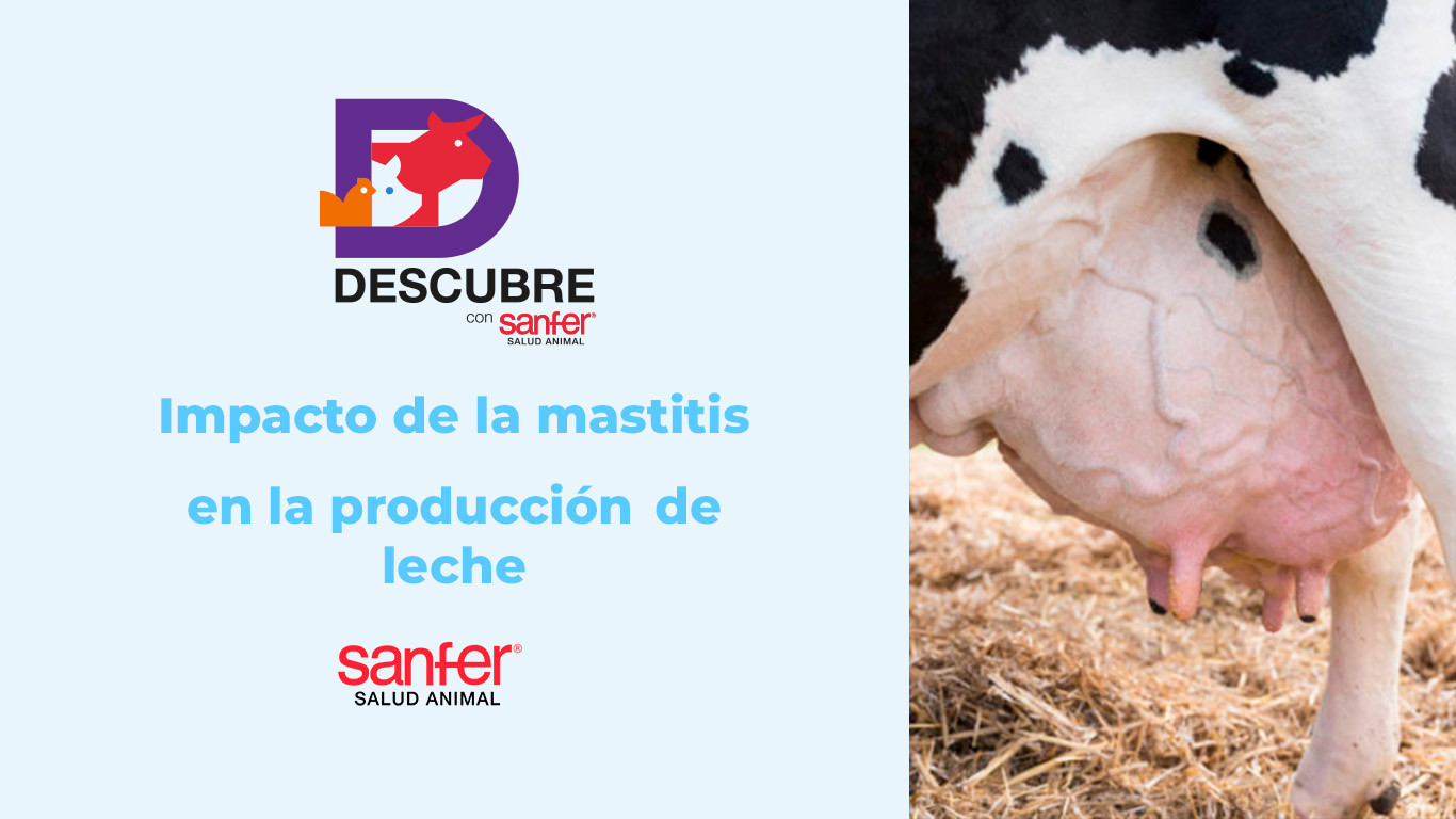 El impacto de la mastitis en la producción de leche