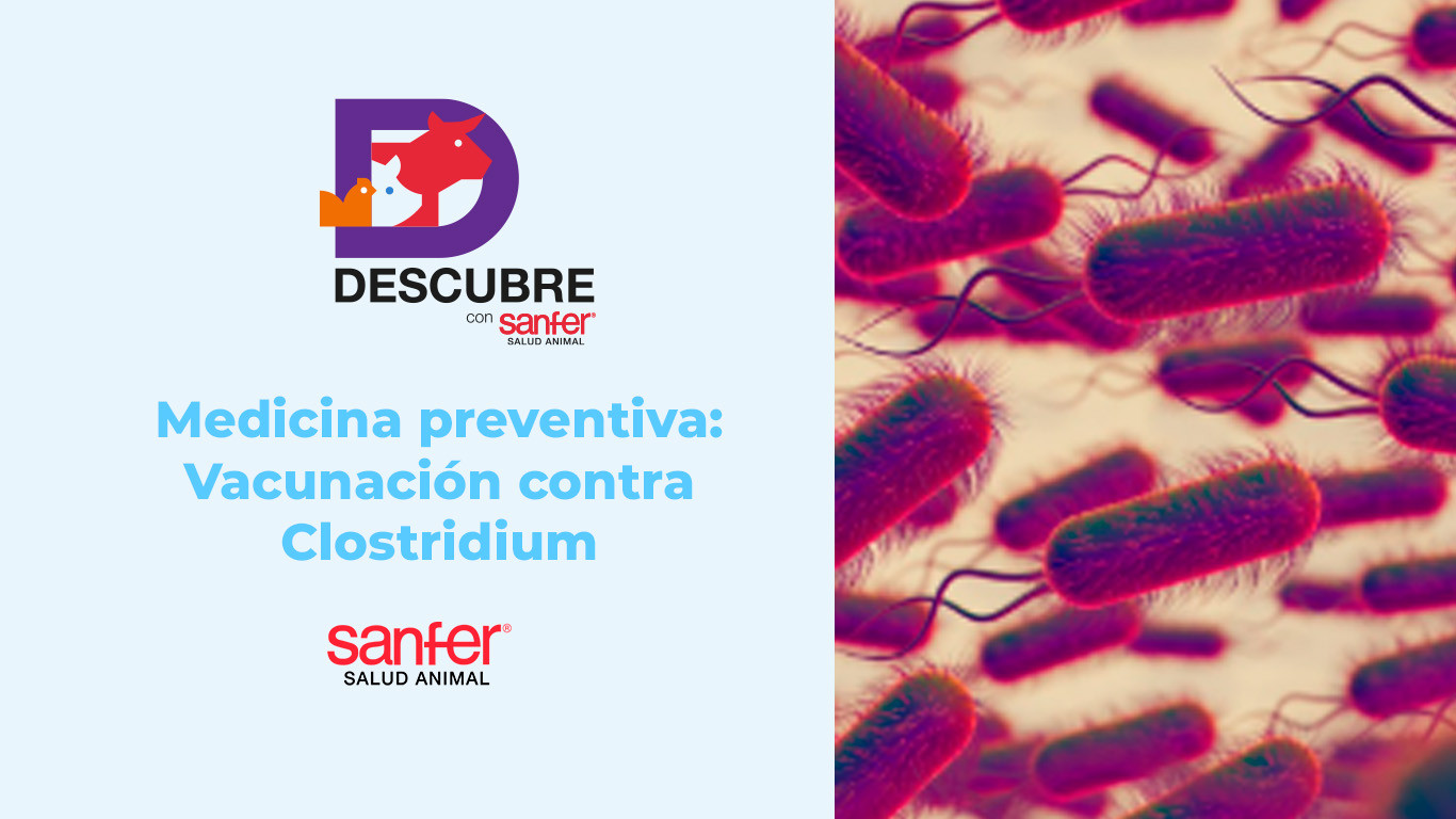 Medicina preventiva: Vacunación contra Clostridium.