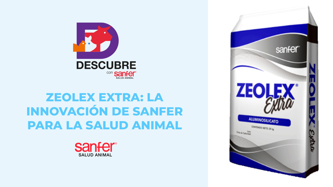 Zeolex Extra: La solución  de Sanfer Salud Animal para mitigar los problemas por Aflatoxinas (B1, B2, G1 y G2)
