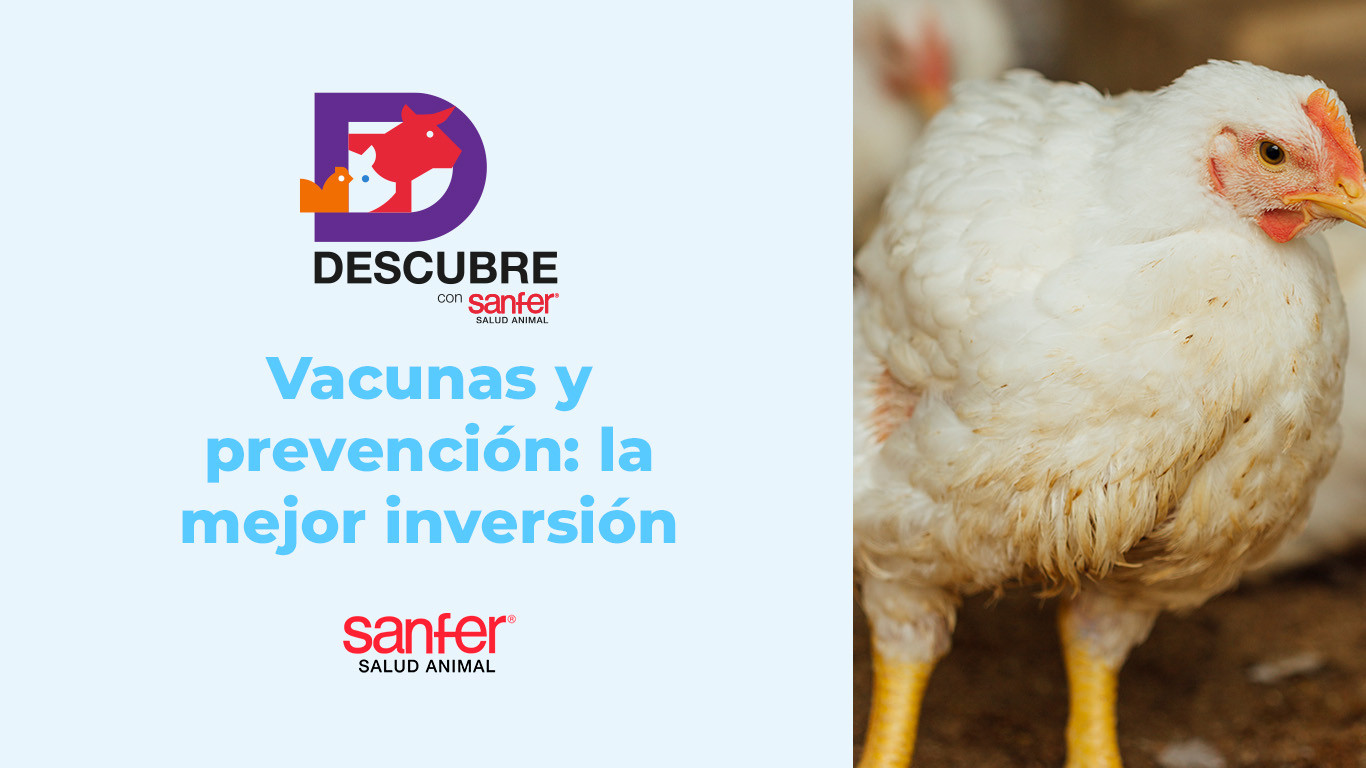 Vacunas y prevención: la mejor inversión