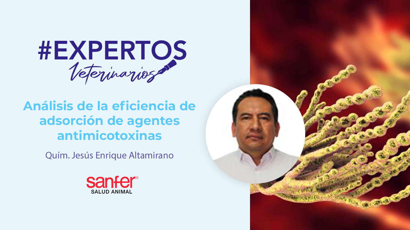 ANÁLISIS DE LA EFICIENCIA DE ADSORCIÓN DE AGENTES ANTIMICOTOXINAS