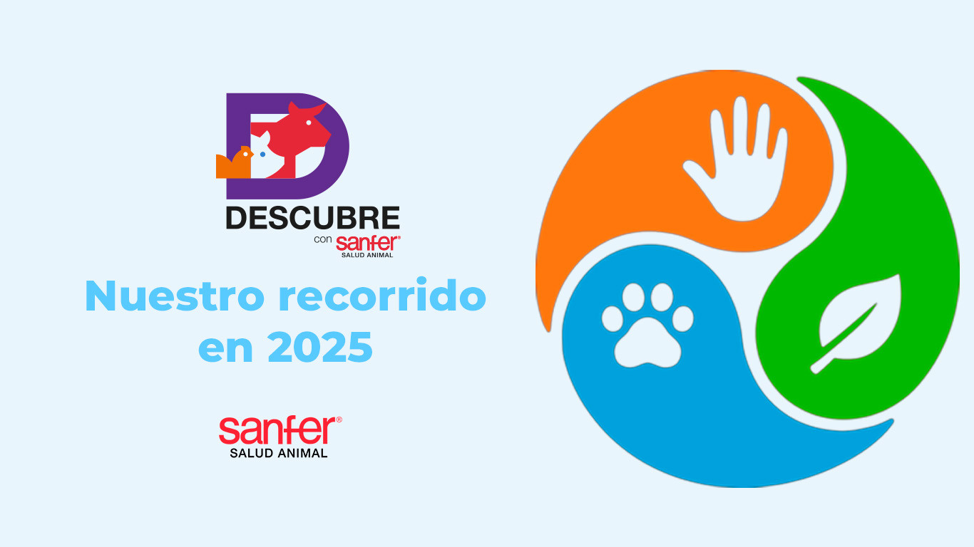 Un año de responsabilidad compartida